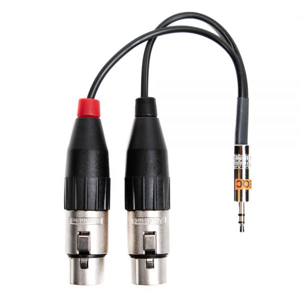 Kurzes Y-Adapterkabel mit 3,5-mm-Stereo-Miniklinke und zwei XLR-Buchsen für Kopfhörer- oder Line-Ausgänge.