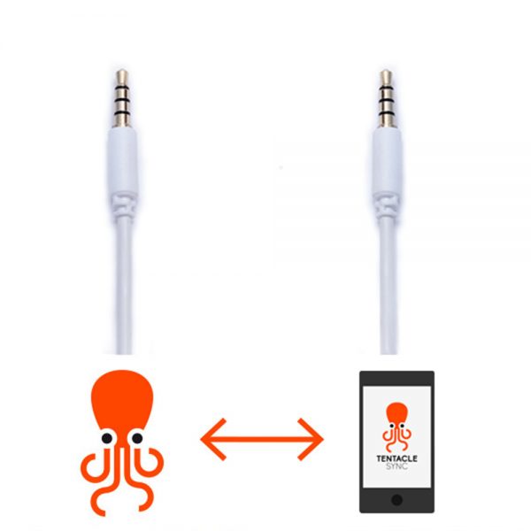 Tentacle Sync Setup-Kabel mit vierpoligem TRRS-Stecker an beiden Enden zur Konfiguration über die iOS-Setup-App.